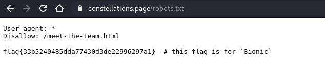 bionic_2.png