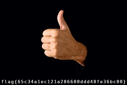 pollex_2.png